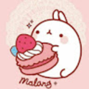 Meet your Posher, Eva